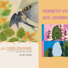 Couverture du livre La Chélidoine