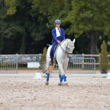 festi'cheval#4