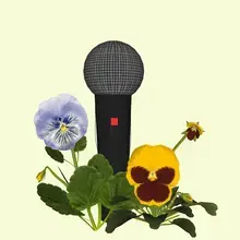 Recherche visuelle de Geörgette Power sur les voix synthétiques montrant un micro au milieu de primevères