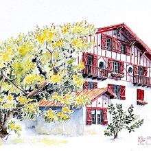 Etxe au mimosa, aquarelle peinte in situ par Cécile Van Espen, le 13 février 2024 à Anglet. En premier plan, sur la moitié gauche, un mimosa en fleur se penche vers un etxe. Il passe devant le bâtiment et empiète légérement sur la façade principale. Cette dernière occupe toute la moitié droite, elle est légèrement de profil. Toutes les boiseries sont rouges.