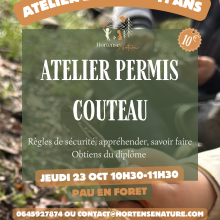 activite enfant pau