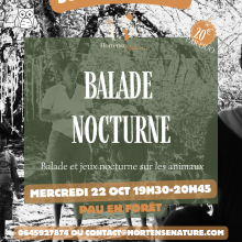 balade nocturne famille
