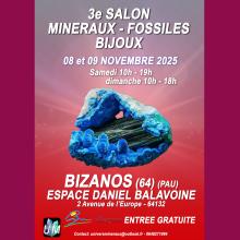 salon minéraux, fossiles et bijoux bizanos