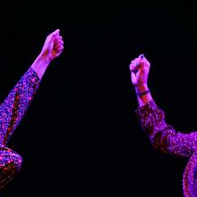 REvEiL, Collectif Phauna