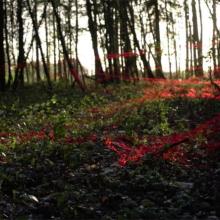 foret rouge film melies pau