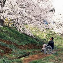 hana-bi film melies pau