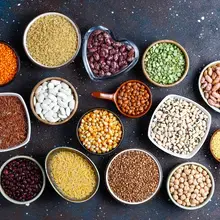 Jeux de reconnaissance de graines