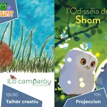 Couverture album et affiche film