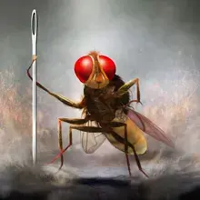 eega la mouche vengeresse film melies pau