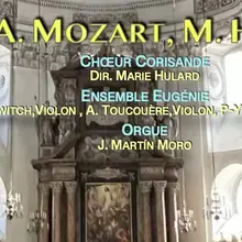 Concert "Un Dimanche à Salzbourg" Mozart, M Haydn Dimanche 8 novembre 18h30, Temple, rue Serviez, Pau