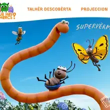 Jaquette film d'animation avec un vers de terre et un papillon dessinés