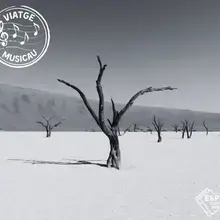 Photo d'un arbre dans le désert