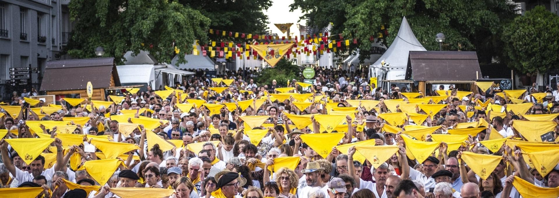 La foule lors du festival Hestivoc 