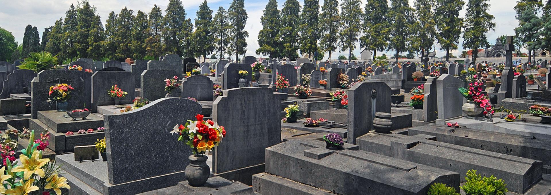 Des tombes dans un cimetière