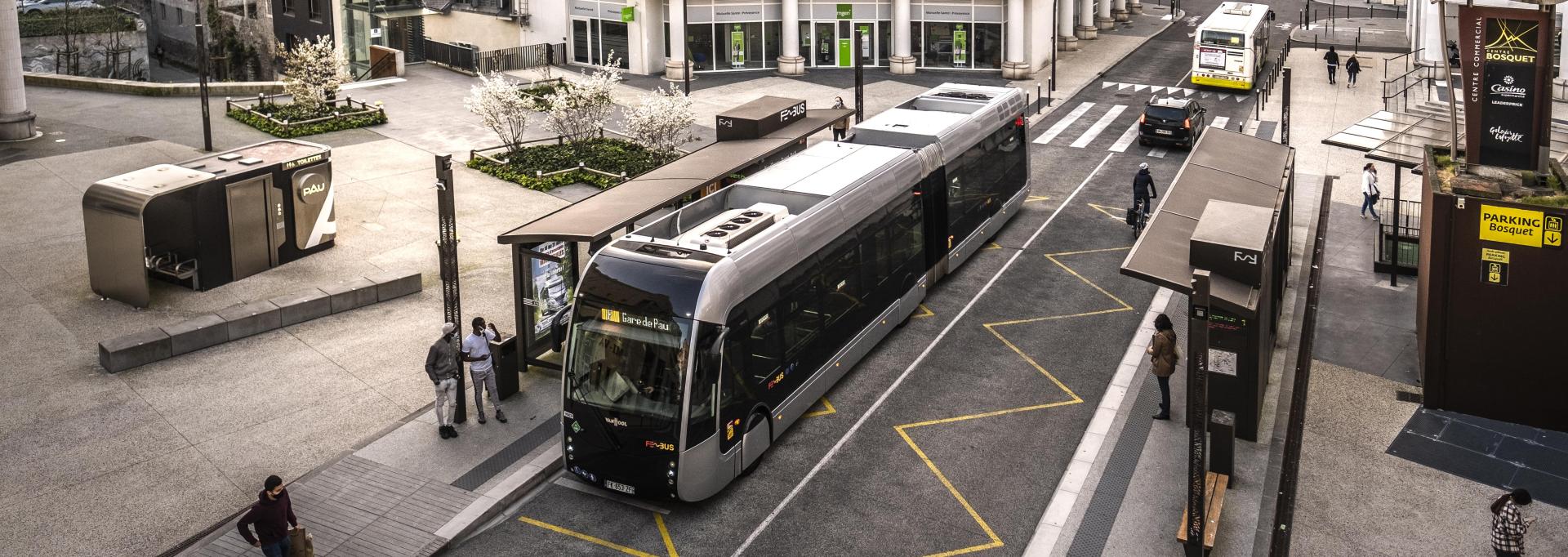 Fébus place d'Espagne en centre de Pau