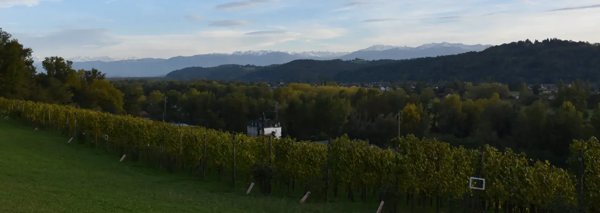 Parc du château de Franqueville