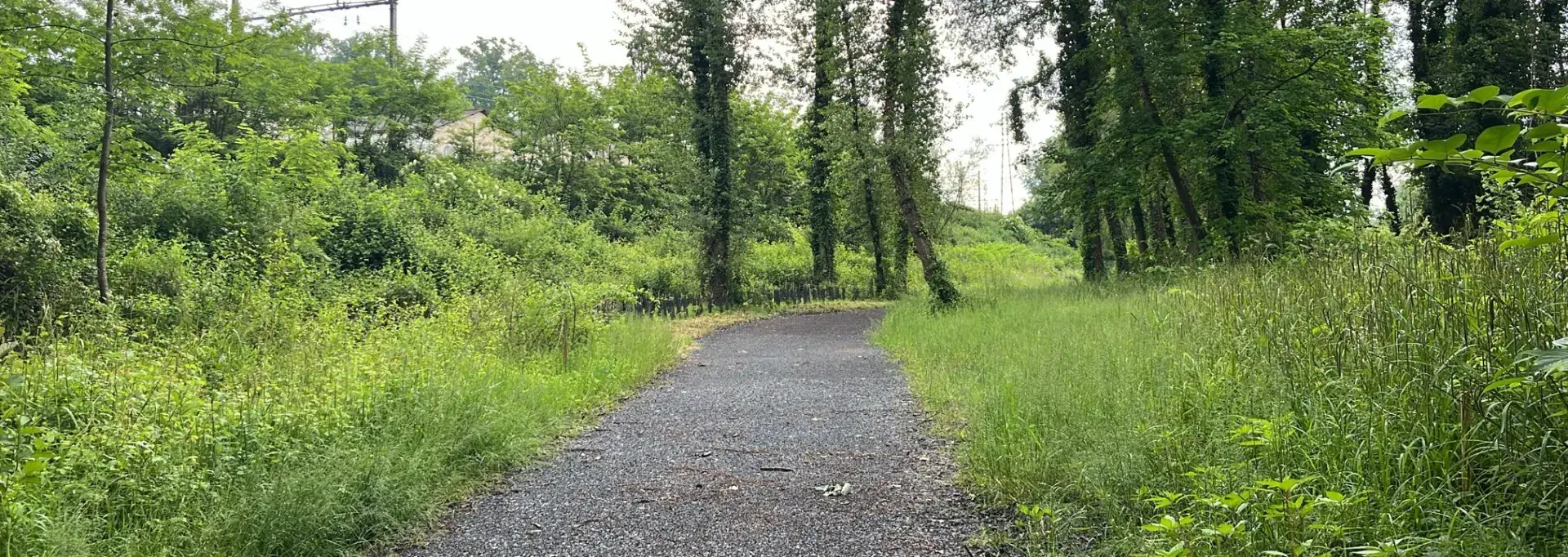 Voie verte entre Bizanos et le lac d'Aressy
