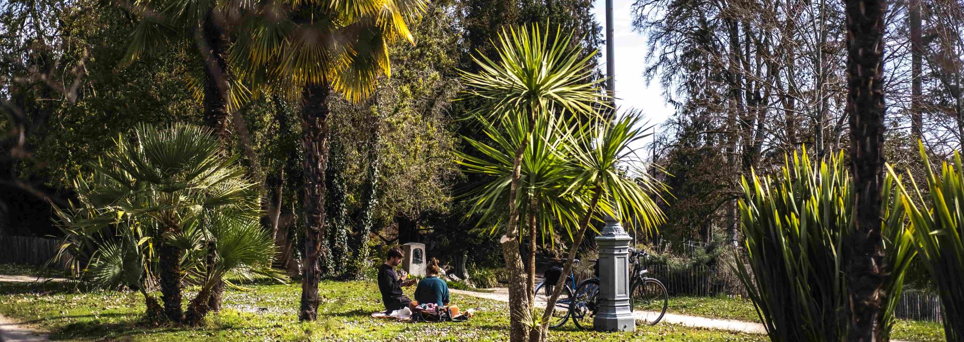 Le parc Beaumont et ses palmiers 
