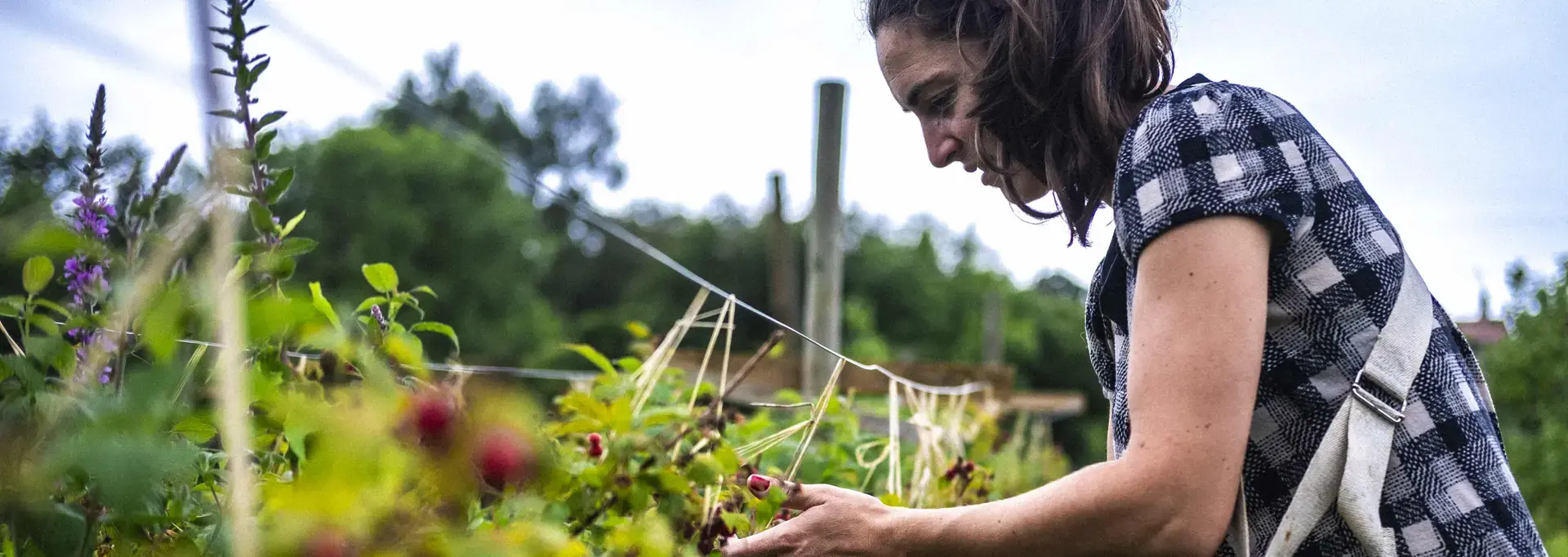 Maison Prouane chez Pauline et Julien