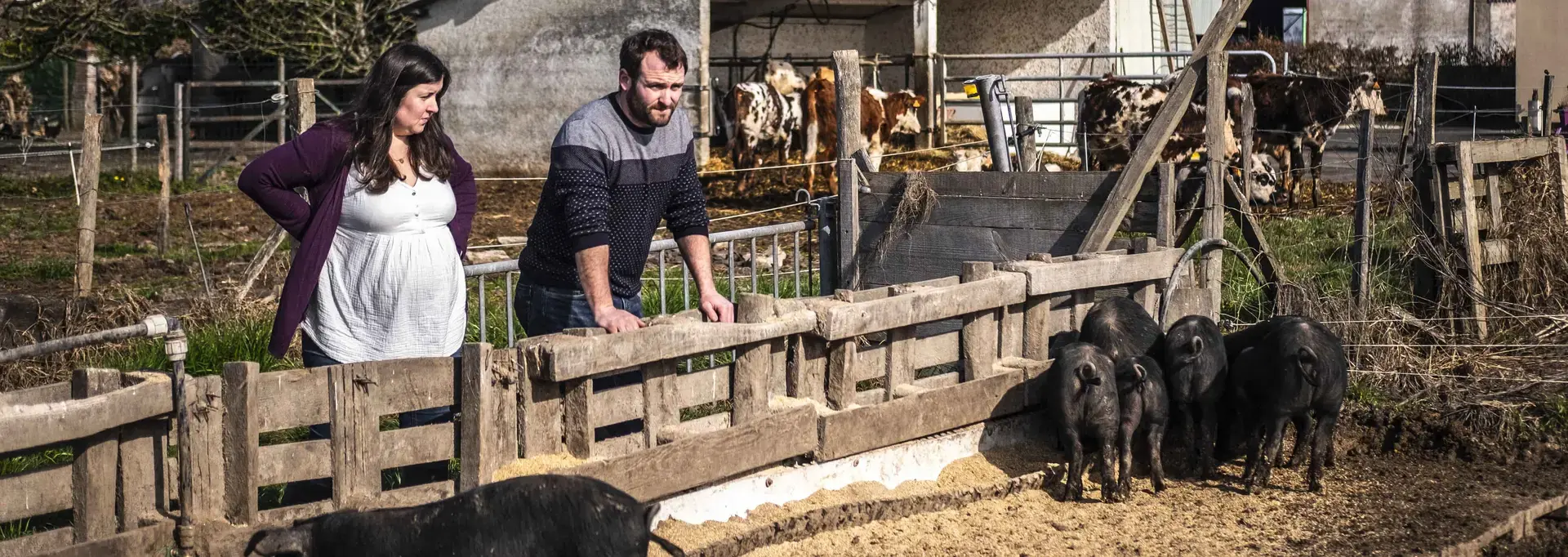 Pau de Vaches à Pau