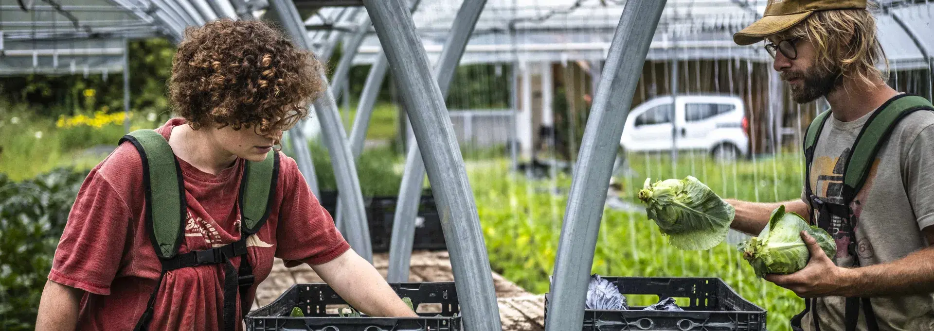 La Ferme Cultive à Rontignon