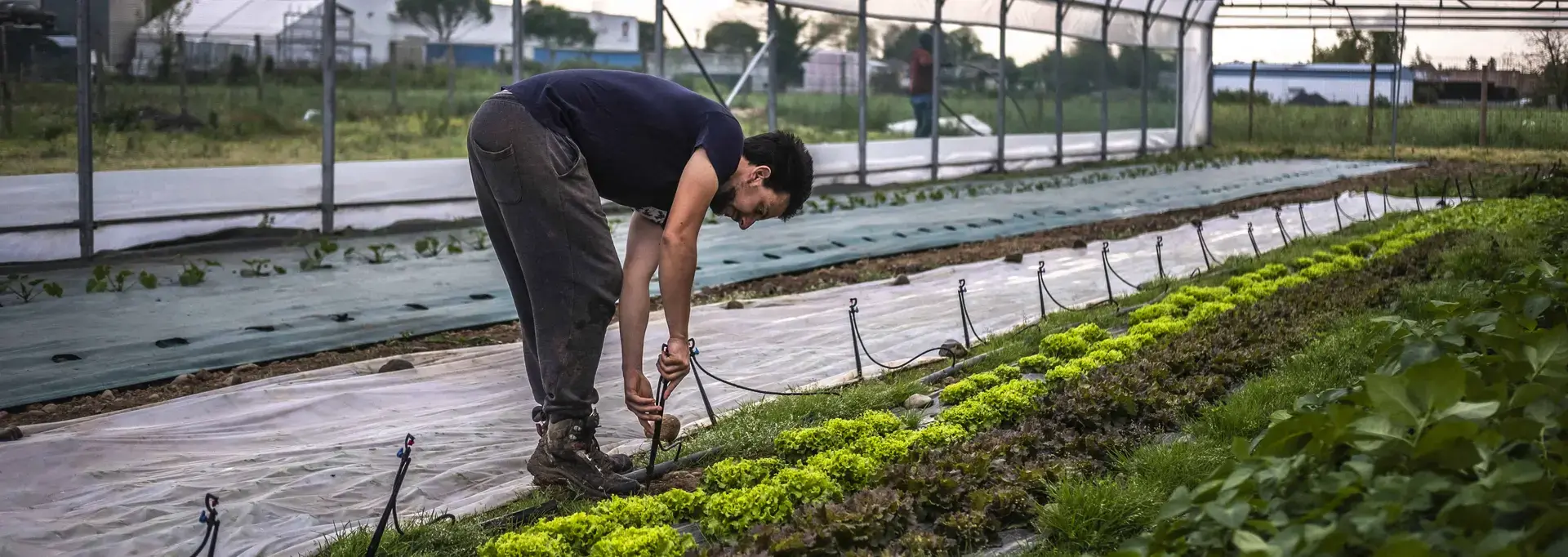 Loïs Labille à Denguin