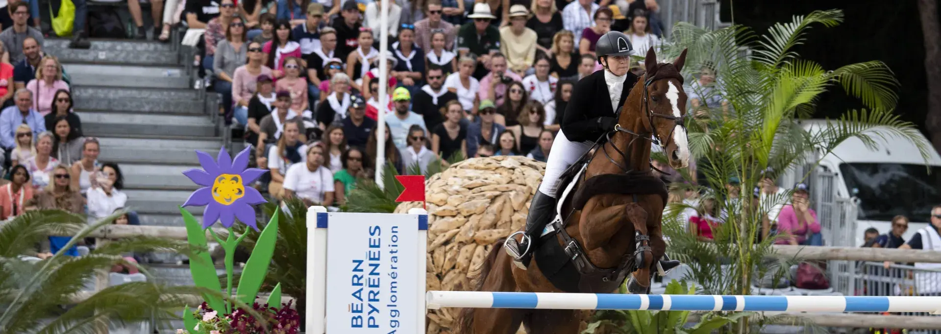 Concours complet international 5 étoiles