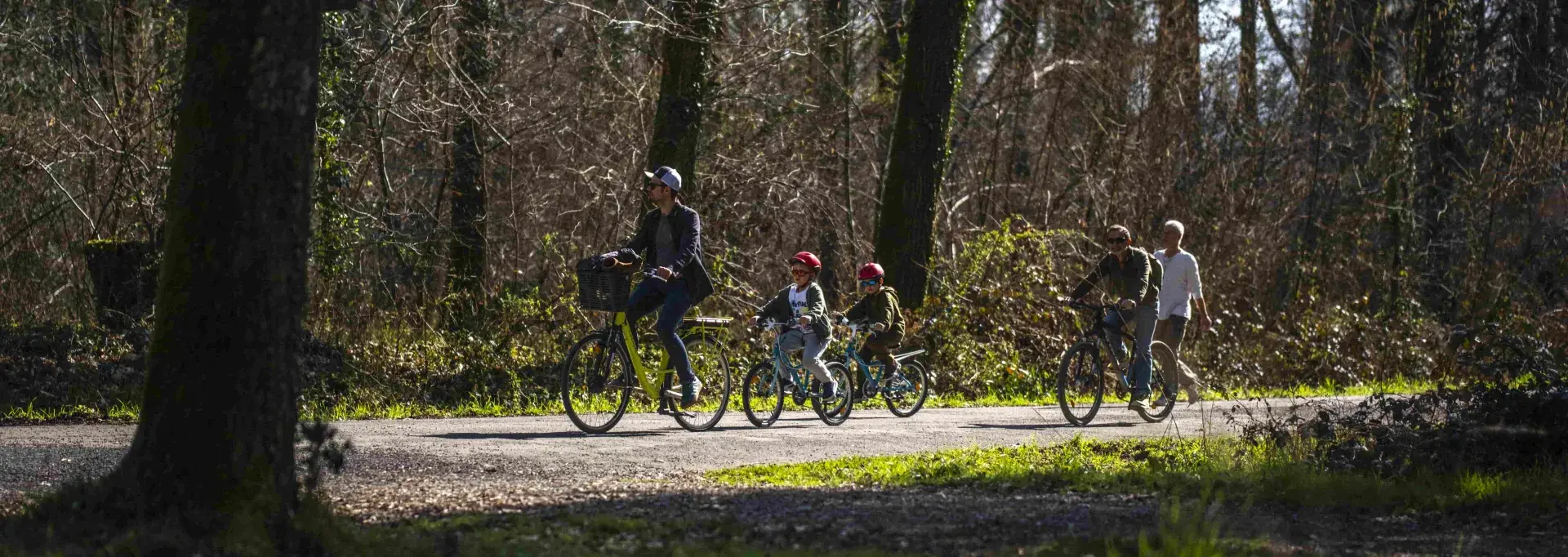 La forêt de Bastard