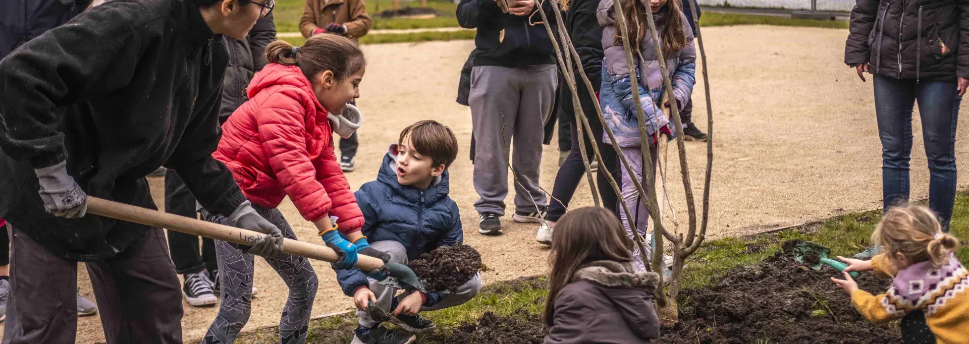 Rendez-vous avec les arbres : plantation à l'école Lapuyade