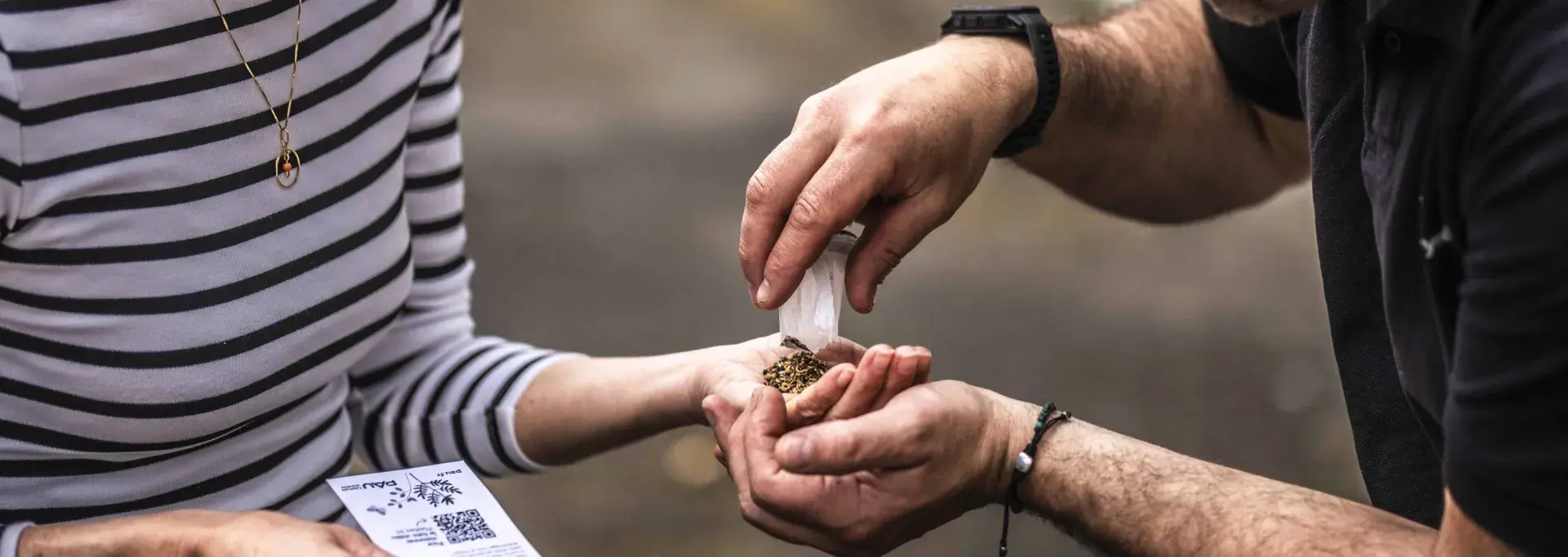 Permis de Jardiner : échange de graines