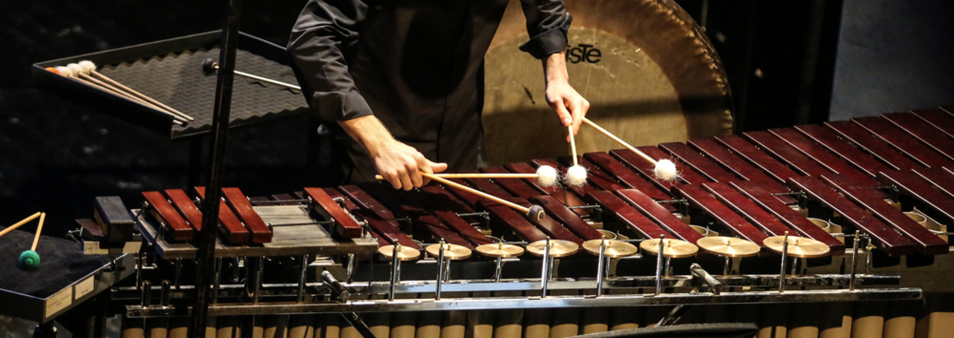 Festival Peaux à Pau 