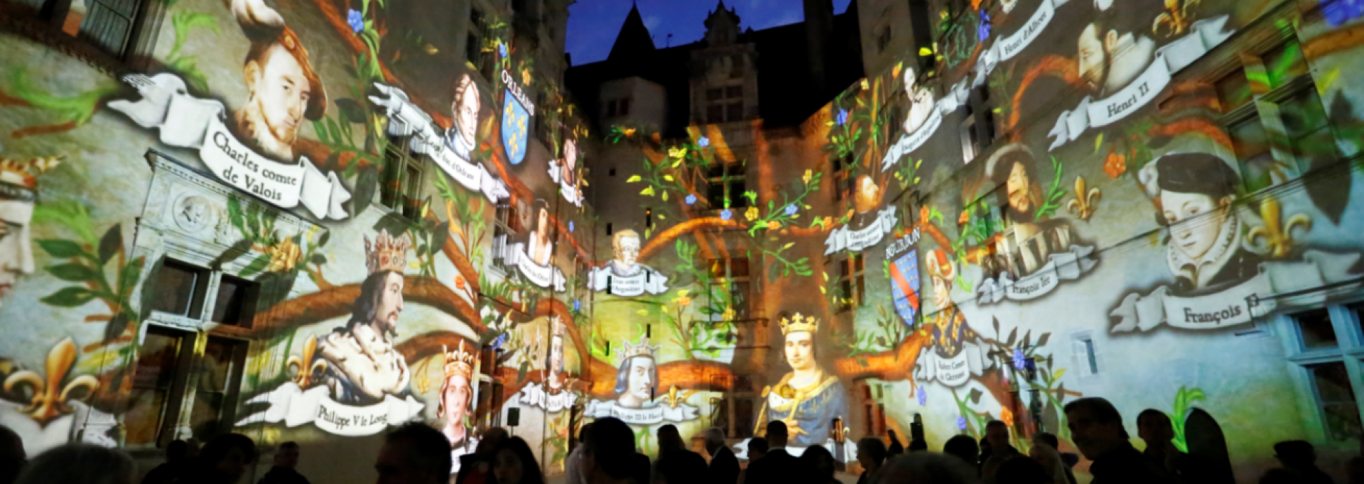 Son & Lumière dans la cour du château de Pau