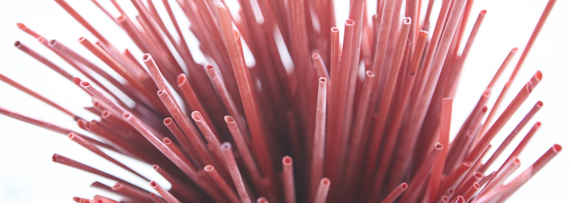 Paille de seigle