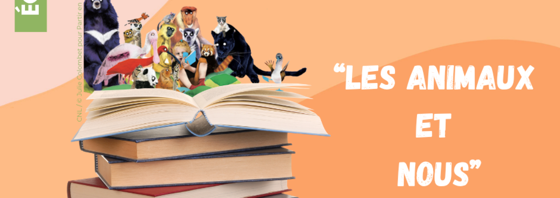 Pile de livres et animaux