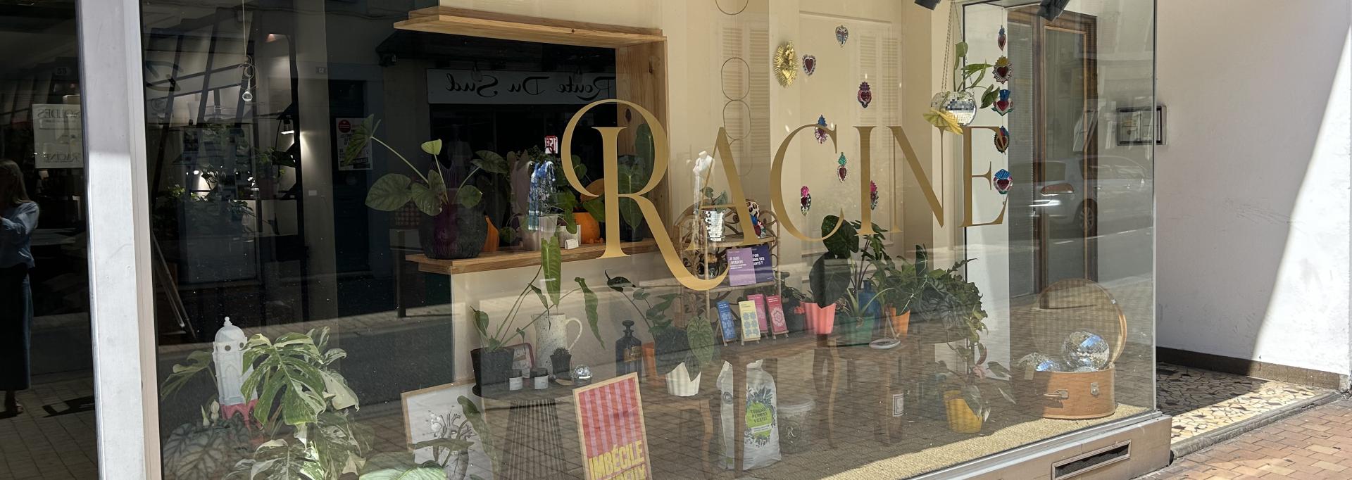 Racine Pau commerce