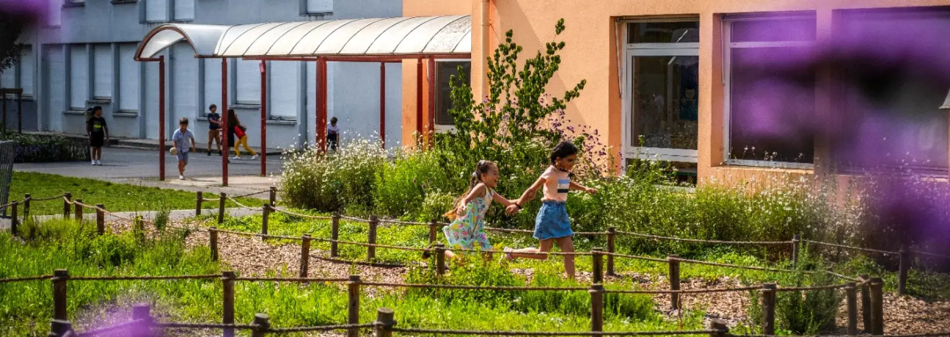 Les cours d'école végétalisées