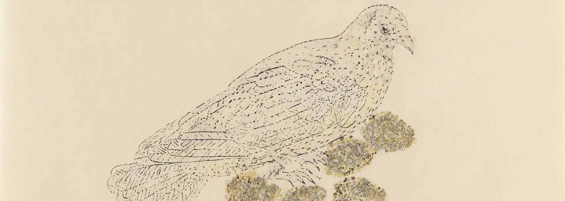 Œuvre de Kiki Smith sur papier représentant un oiseau, créée en 2016.