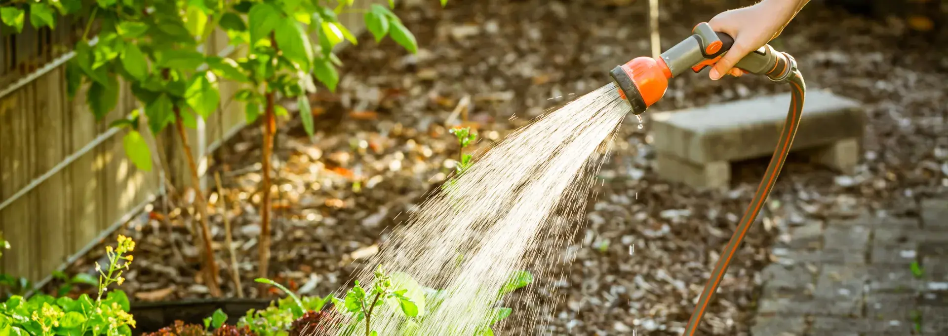Un jardin en plein arrosage