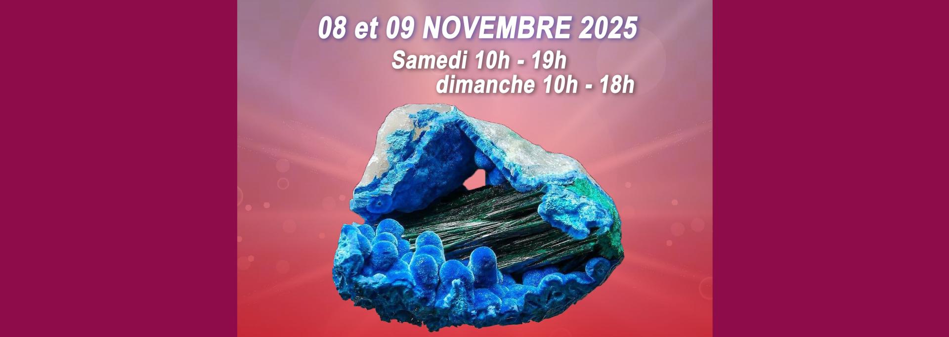 salon minéraux, fossiles et bijoux bizanos