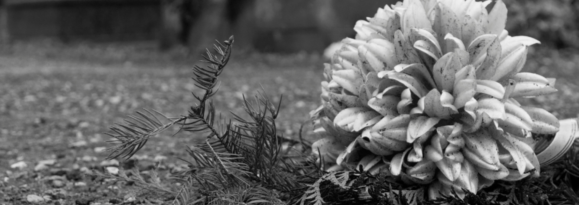 Vue Cimetière Vue Cimetière