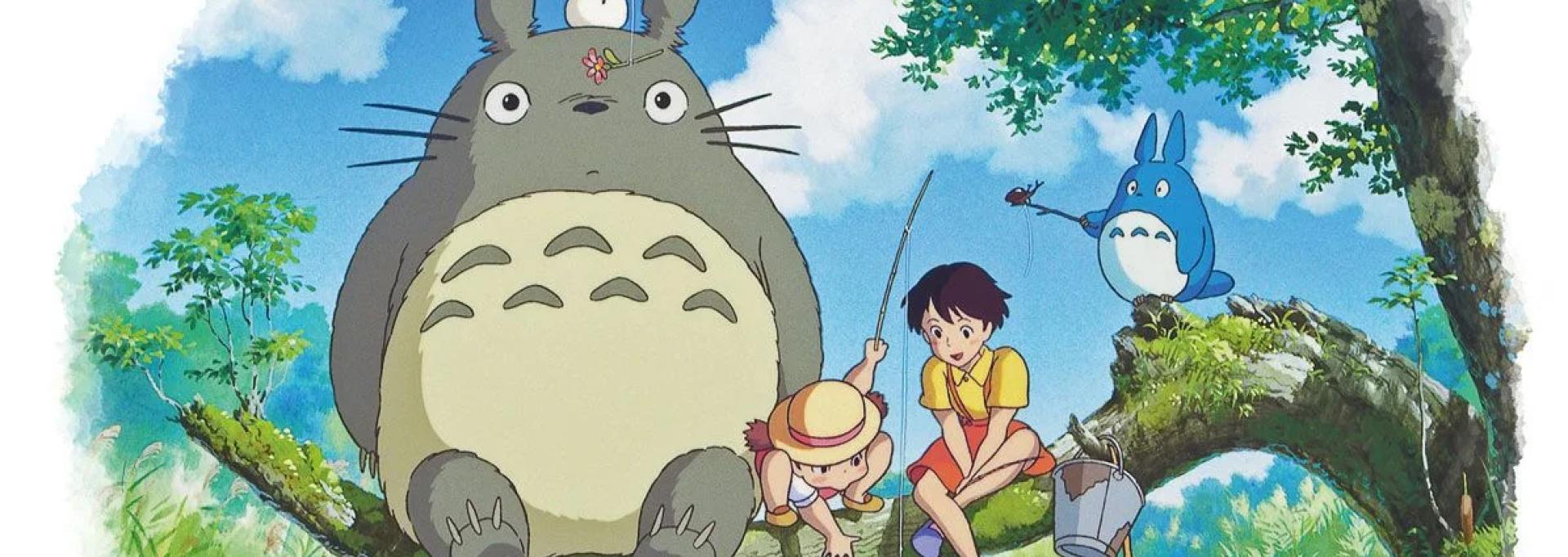 mon voisin totoro melies pau