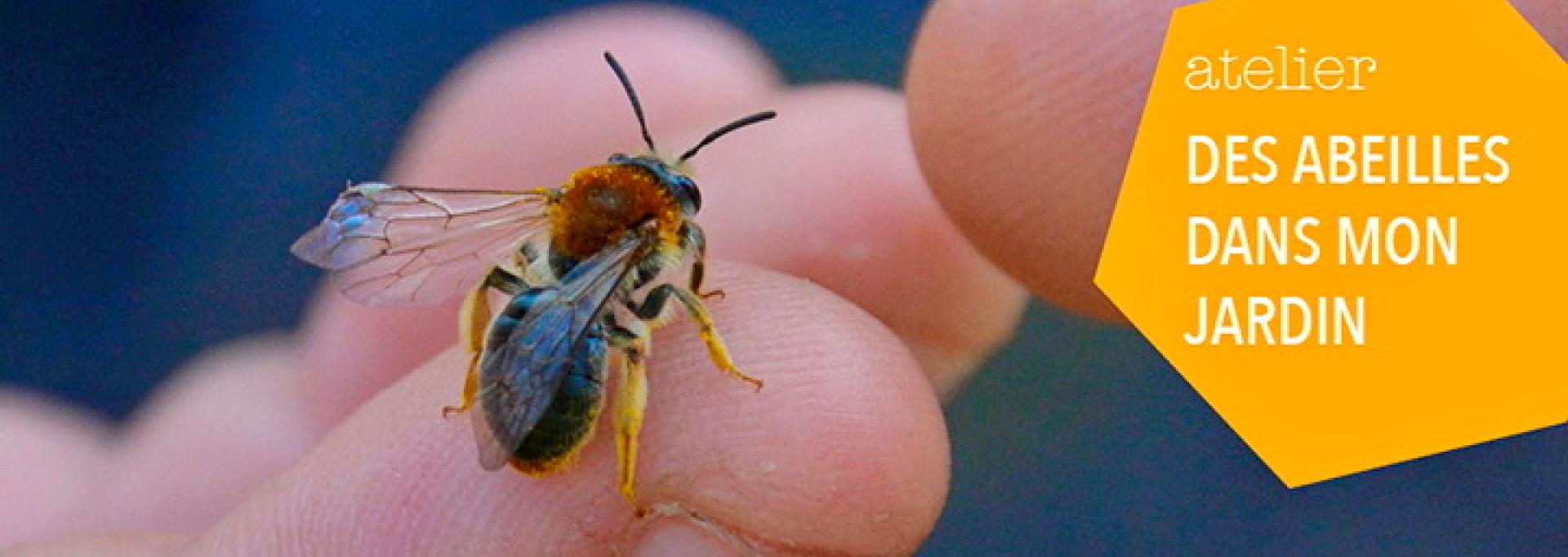 Une abeille solitaire sur une main