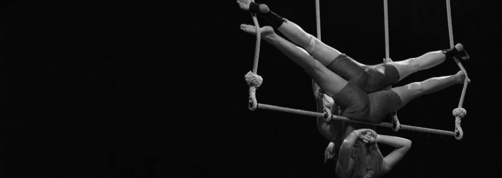 Cirque_Conservatoire