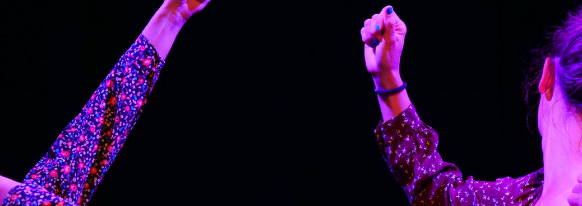 REvEiL, Collectif Phauna