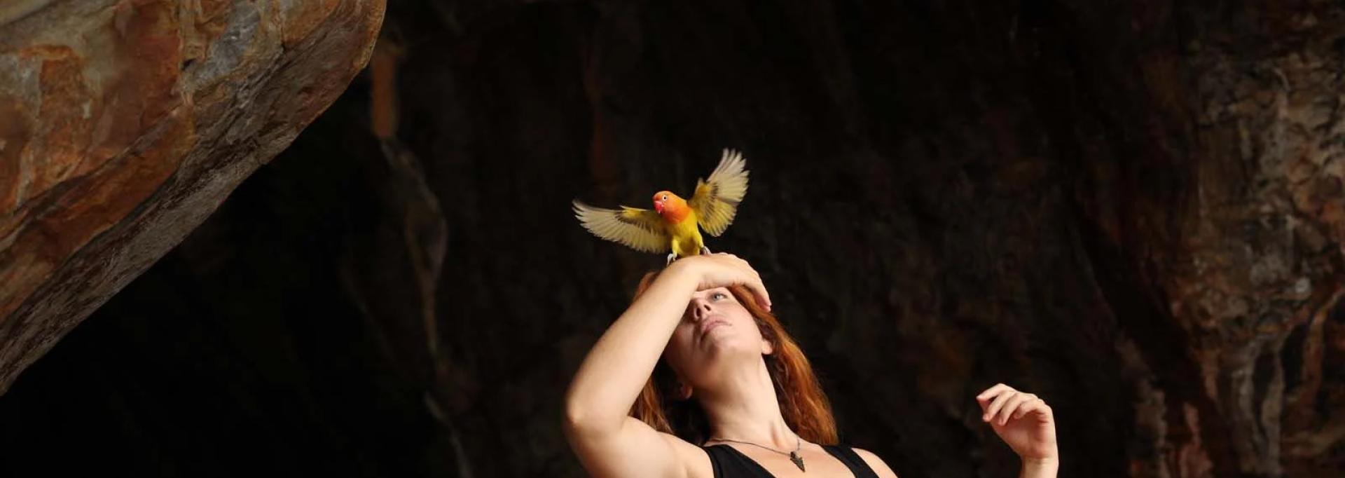 les oiseaux de pluie film melies pau 