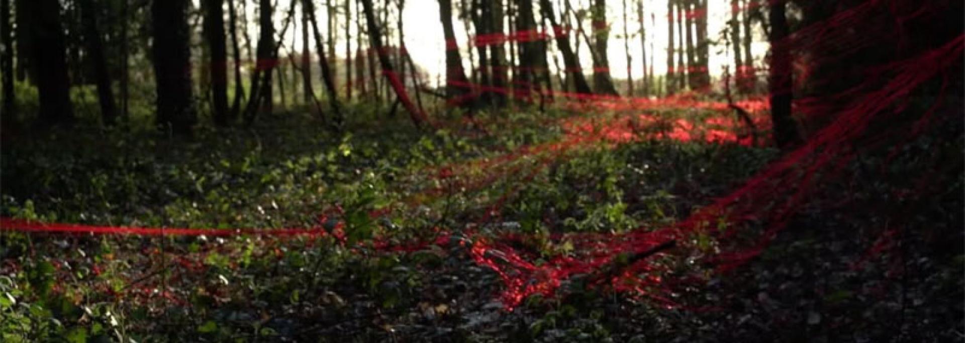 foret rouge film melies pau