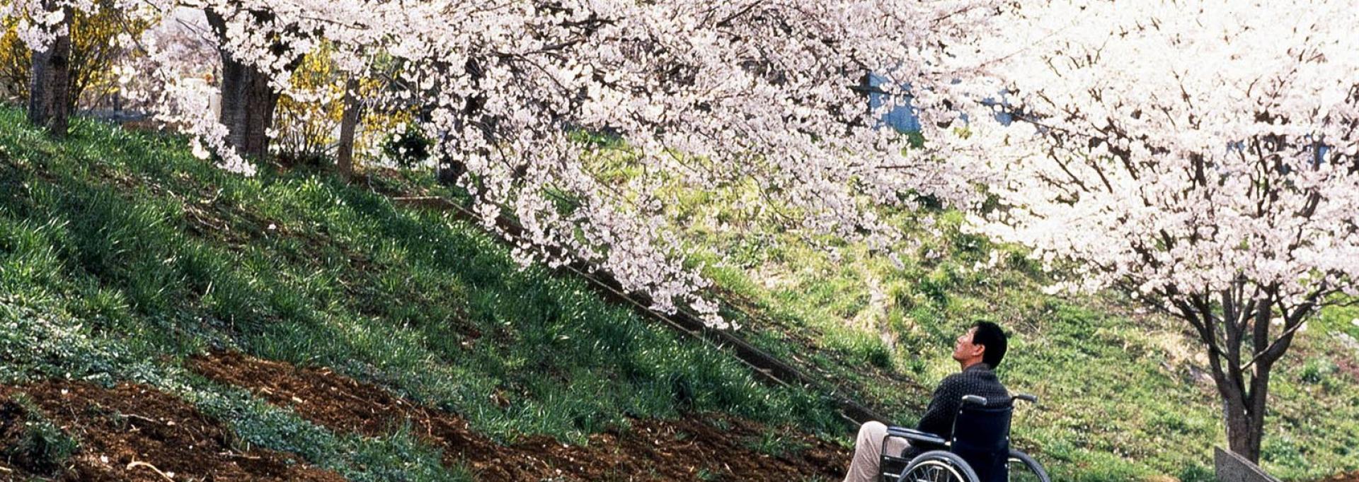 hana-bi film melies pau