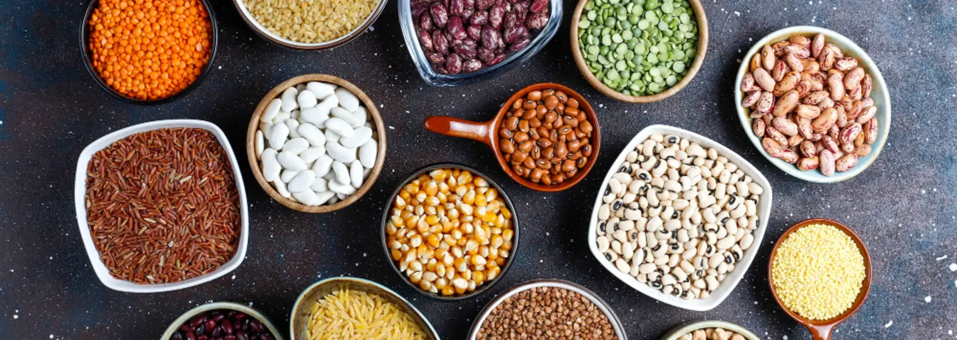 Jeux de reconnaissance de graines