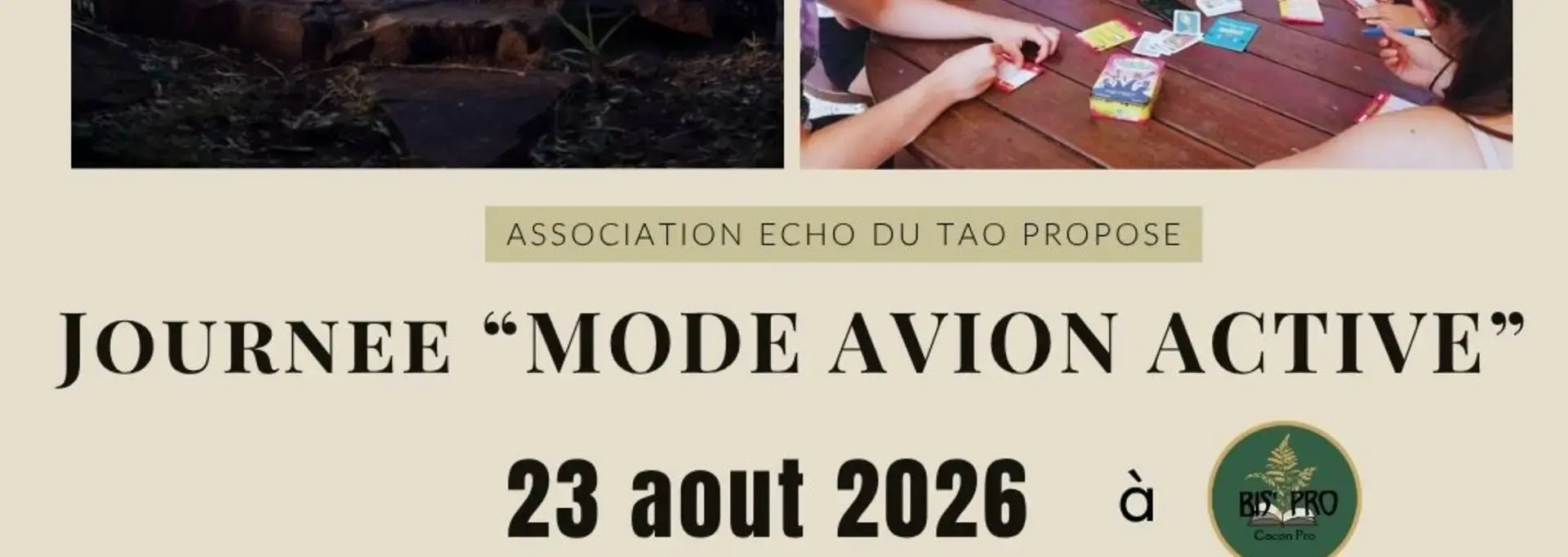 personnes qui sont en position de yoga et tai shi