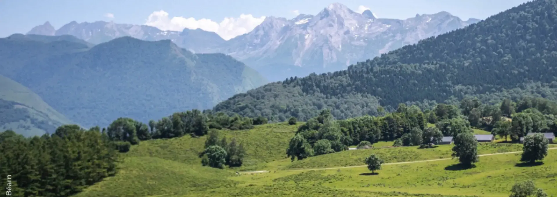Vue de la montagne en été